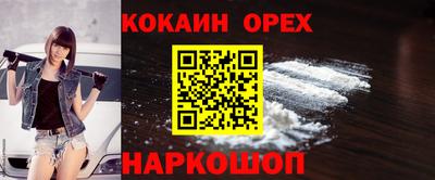 спиды Сланцы
