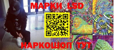 спиды Сланцы