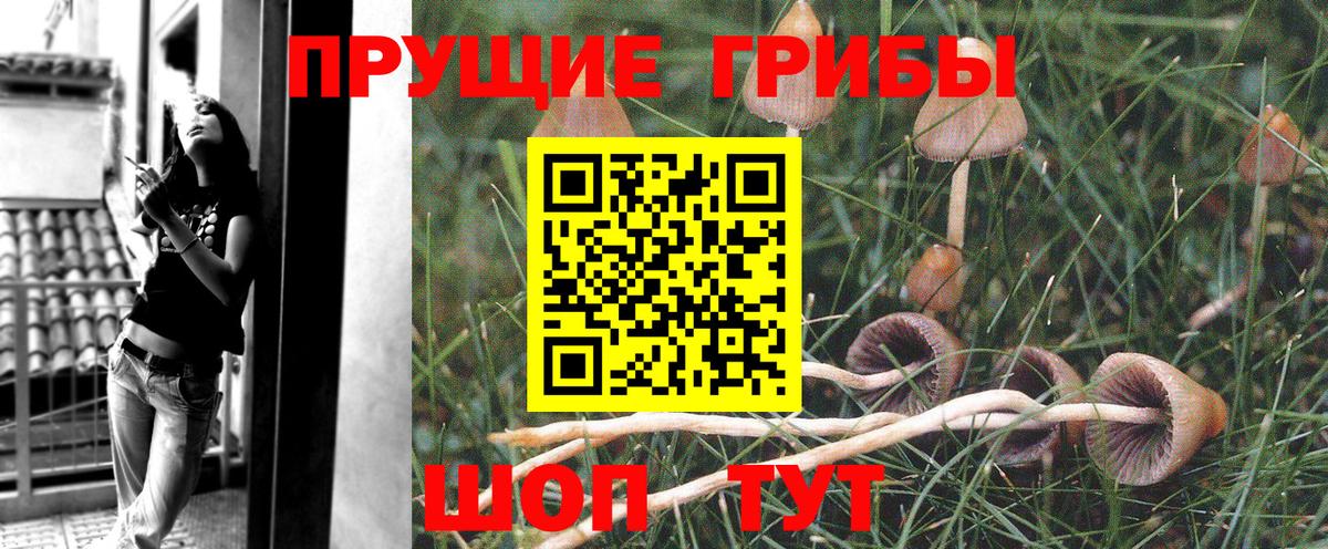Псилоцибиновые грибы ЛСД Белово
